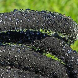 Drip Hose Sweat Hose