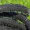 Drip Hose Sweat Hose