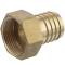 Messing Schlauchtülle Innengewinde x Tülle 1 1/4" x 32mm
