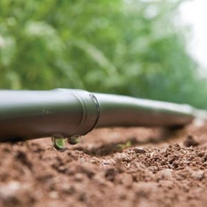 Drip Irrigation