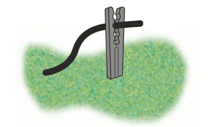 BW261 Application